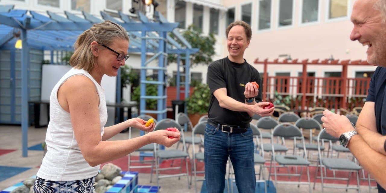 workshop brainfunc