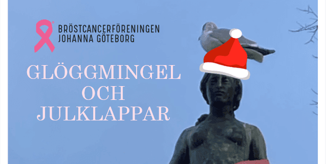 Skärmbild 2024-11-08 154718