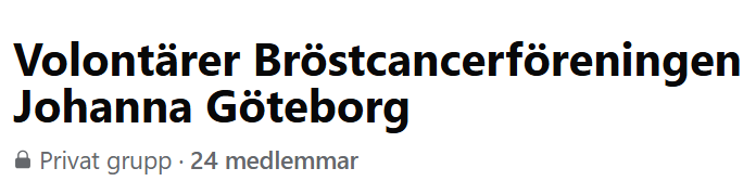 Skärmbild 2025-06-12 085101