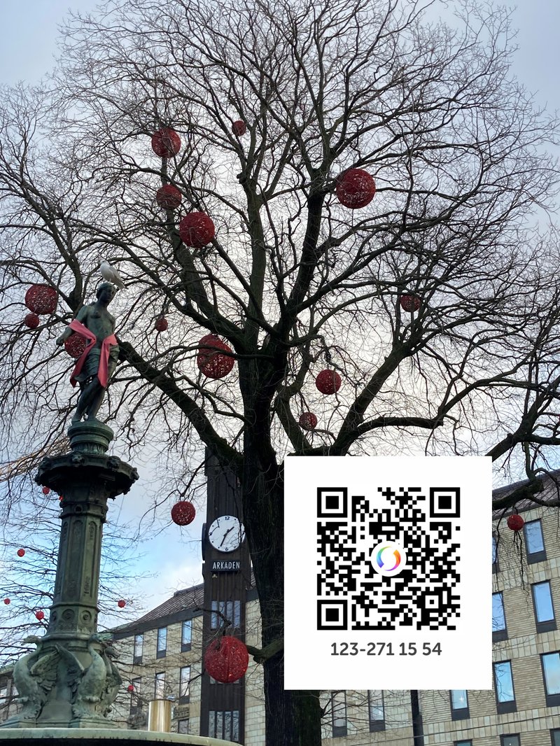 fontän med rosett qr